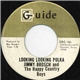 Jimmy Brosch And The Happy Country Boys - Looking Looking Polka